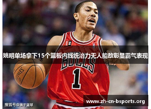 姚明单场拿下15个篮板内线统治力无人能敌彰显霸气表现 姚明单场拿下15个篮板内线统治力无人能敌彰显霸气表现