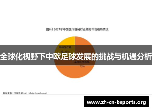 全球化视野下中欧足球发展的挑战与机遇分析