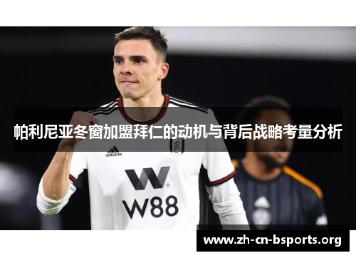 帕利尼亚冬窗加盟拜仁的动机与背后战略考量分析 帕利尼亚冬窗加盟拜仁的动机与背后战略考量分析