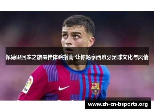 佩德里回家之旅最佳体验指南 让你畅享西班牙足球文化与风情