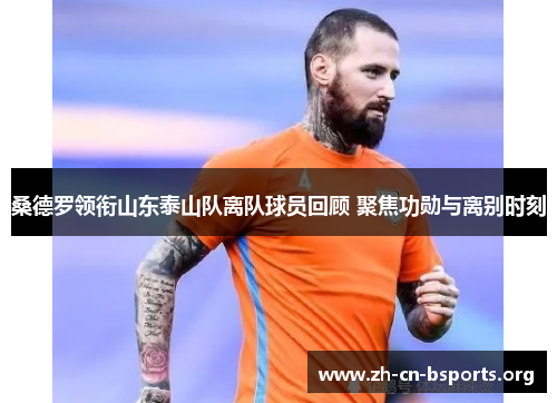 桑德罗领衔山东泰山队离队球员回顾 聚焦功勋与离别时刻 桑德罗领衔山东泰山队离队球员回顾 聚焦功勋与离别时刻