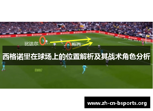 西格诺里在球场上的位置解析及其战术角色分析 西格诺里在球场上的位置解析及其战术角色分析