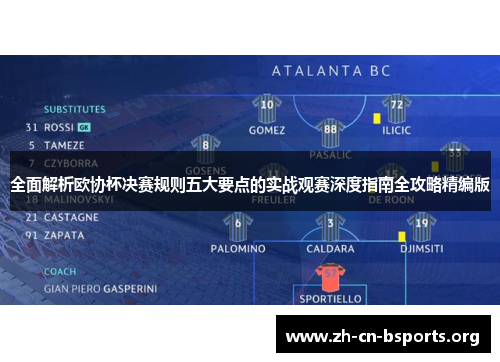 全面解析欧协杯决赛规则五大要点的实战观赛深度指南全攻略精编版