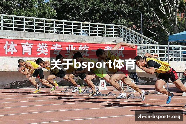 关于bsport体育